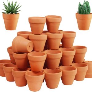 Clay Plant Pot