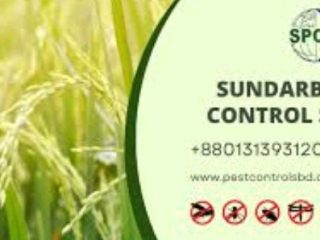 sundarbon-pest-1