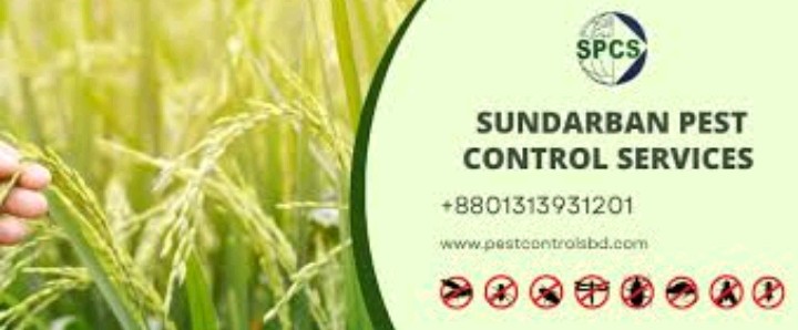 Sundarbon Pest Control Services